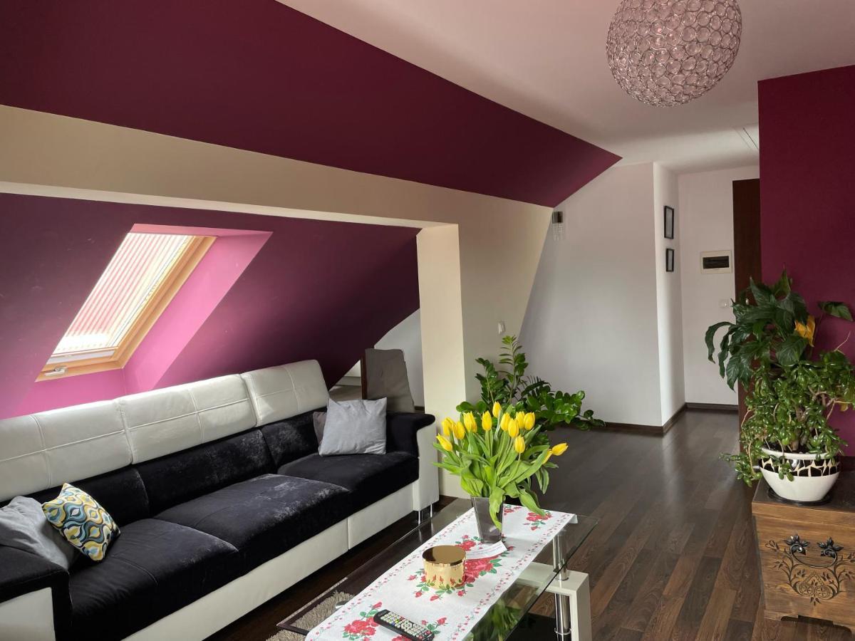 Apartament Podczerwone Czarny Dunajec Exterior foto
